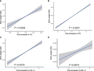 Maternal lipid profile during early pregnancy and birth weight: A retrospective study